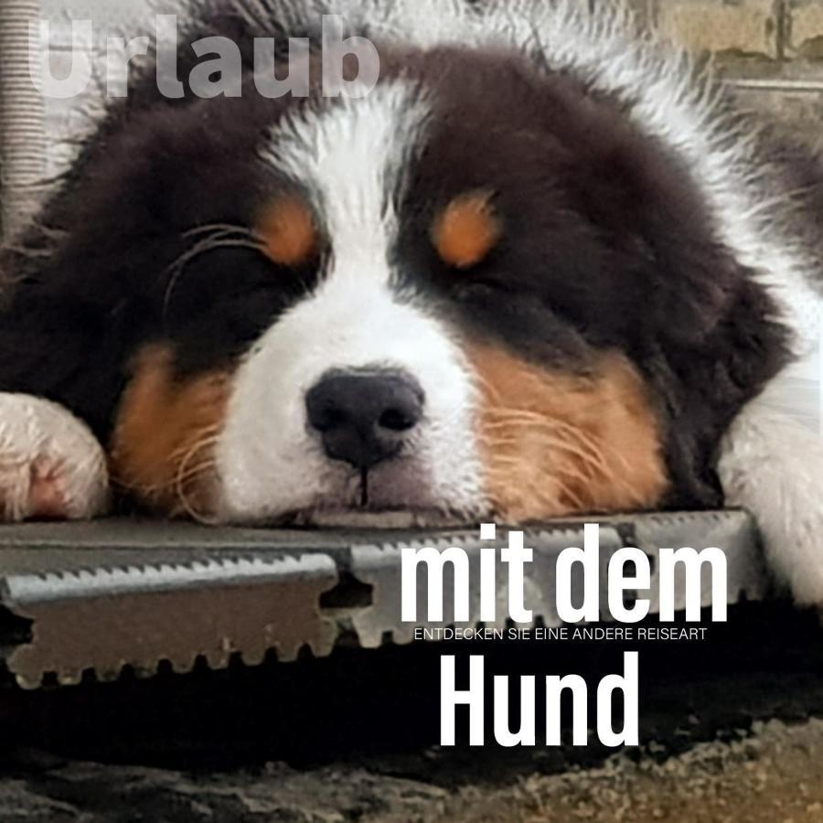 Der Seehof Heimbach Luaran gambar